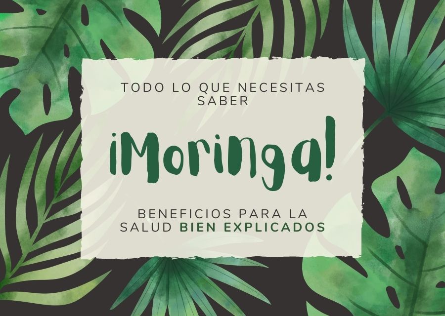 Beneficios salud de la moringa bien explicado