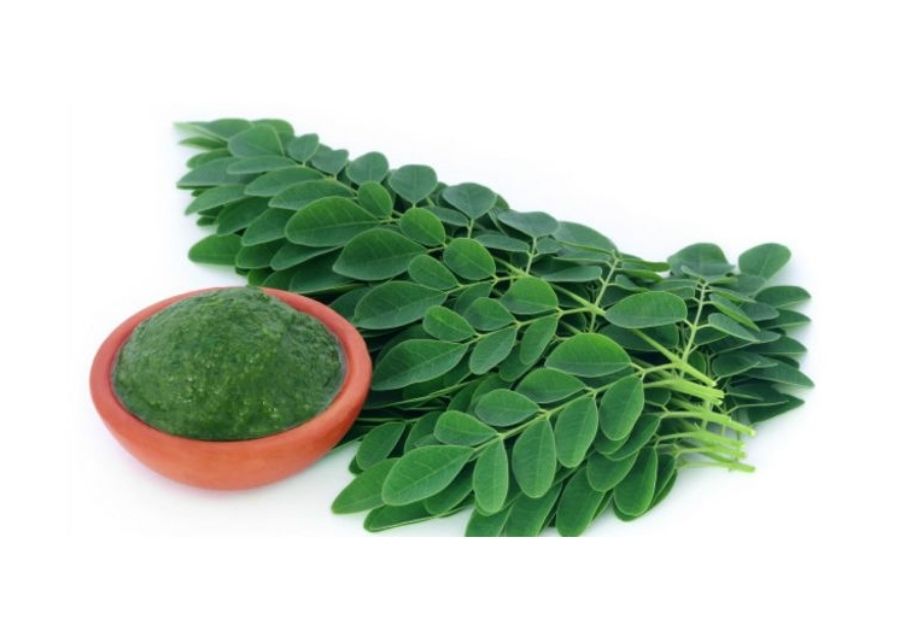 Como son las hojas de moringa