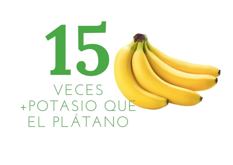 propiedades de la moringa