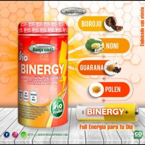 BINERGY
